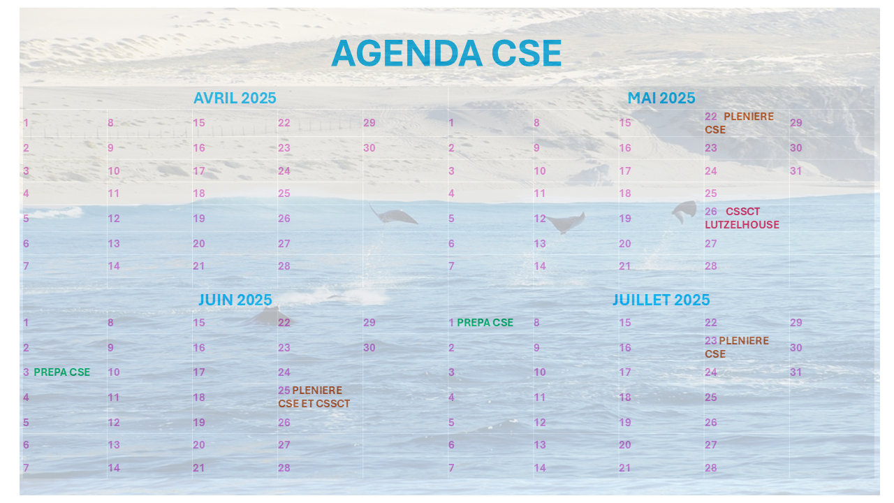 Modèle Agenda 4 Mois